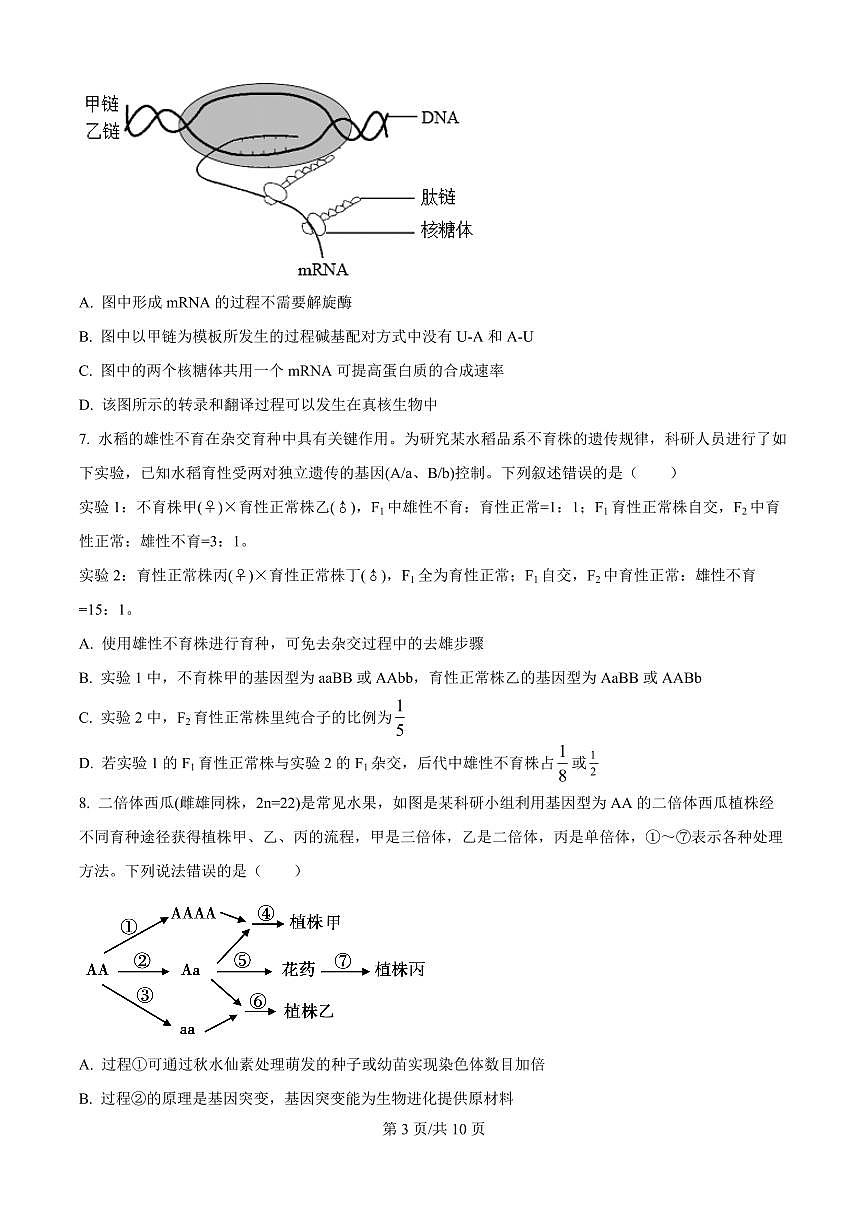 河南省青桐鸣2025-2026学年高二上学期9月大联考生物试题（原卷版）第3页