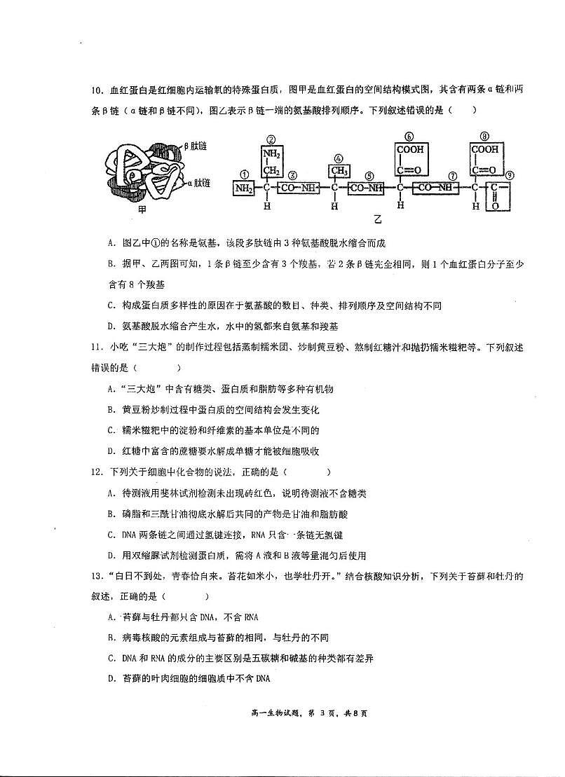 江苏省泰州市海陵区江苏省泰州中学2025-2026学年高一上学期10月月考生物试题第3页