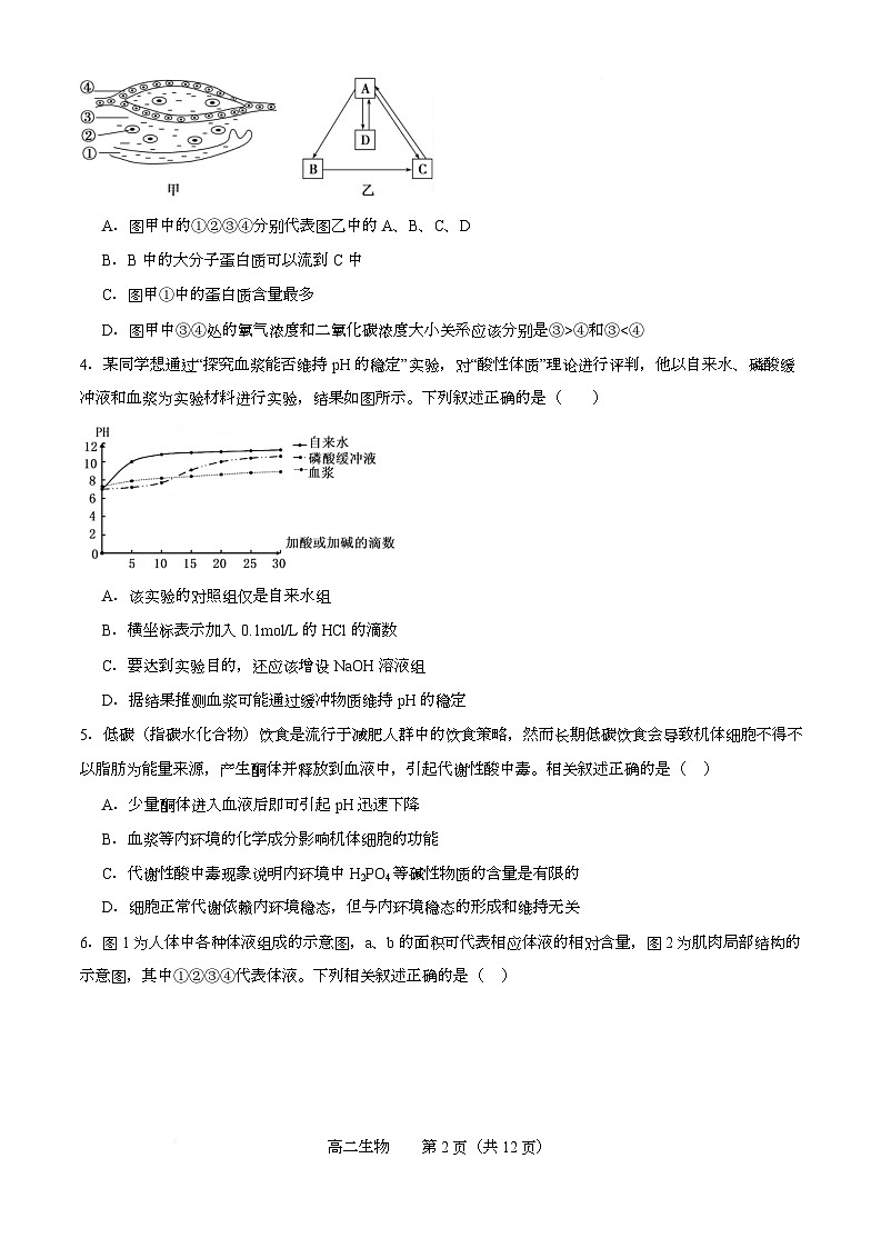 辽西重点高中2025-2026学年度上学期高二10月联考生物试题 辽西重点高中2025-2026学年度上学期高二10月联考生物试题第2页