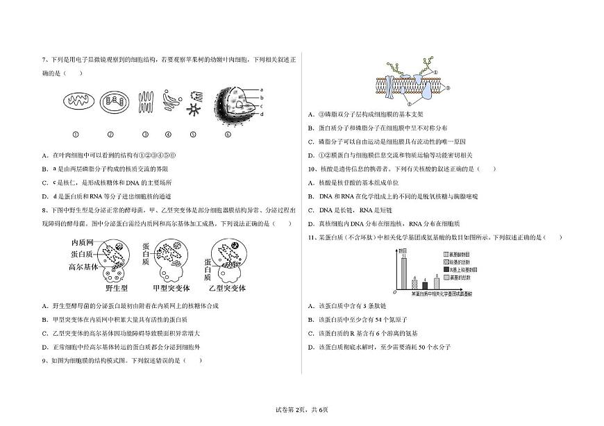 山东省德州市陵城区第一中学2025-2026学年高一上学期10月月考生物试题第2页