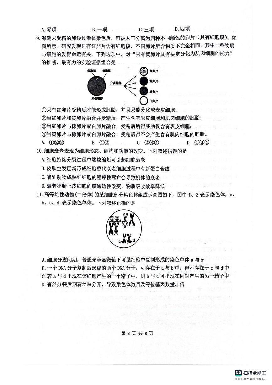 四川省绵阳市涪城区四川省绵阳南山中学2025-2026学年高三上学期10月月考生物试题第3页