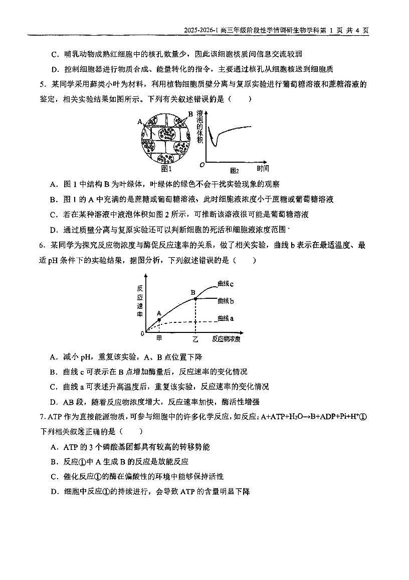 天津市益中教育管理有限责任公司2025-2026学年高三上学期10月月考生物试题第2页