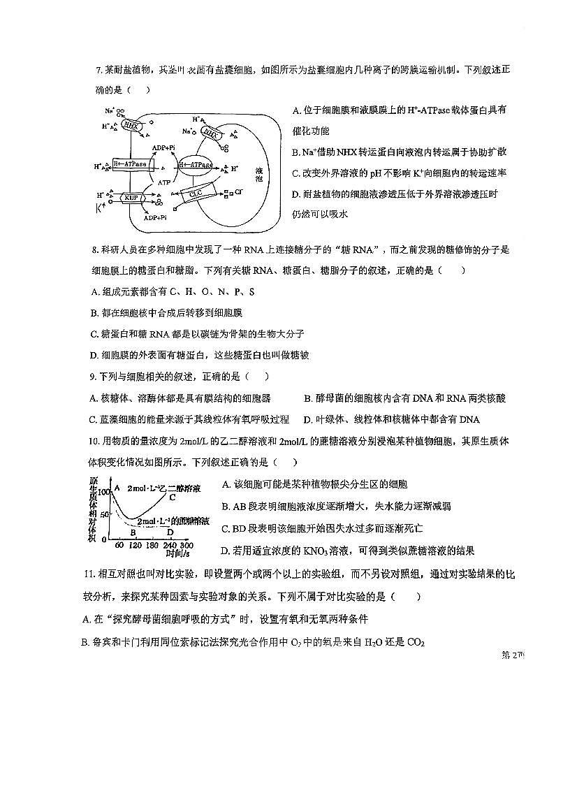 天津市汇文中学2025-2026学年高三上学期10月月考生物试题第3页