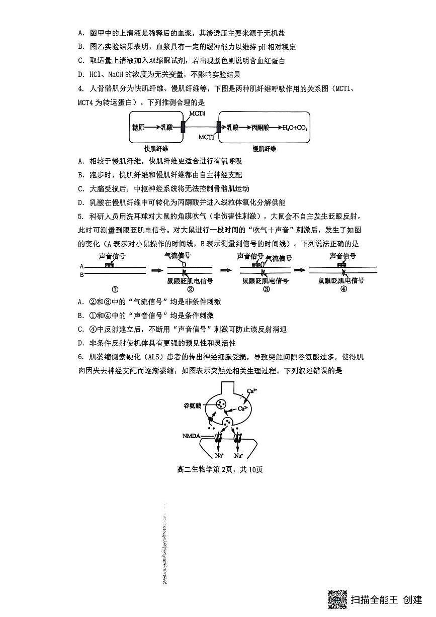 重庆市巴蜀中学教育集团2025-2026学年高二上学期10月月考生物试题第2页