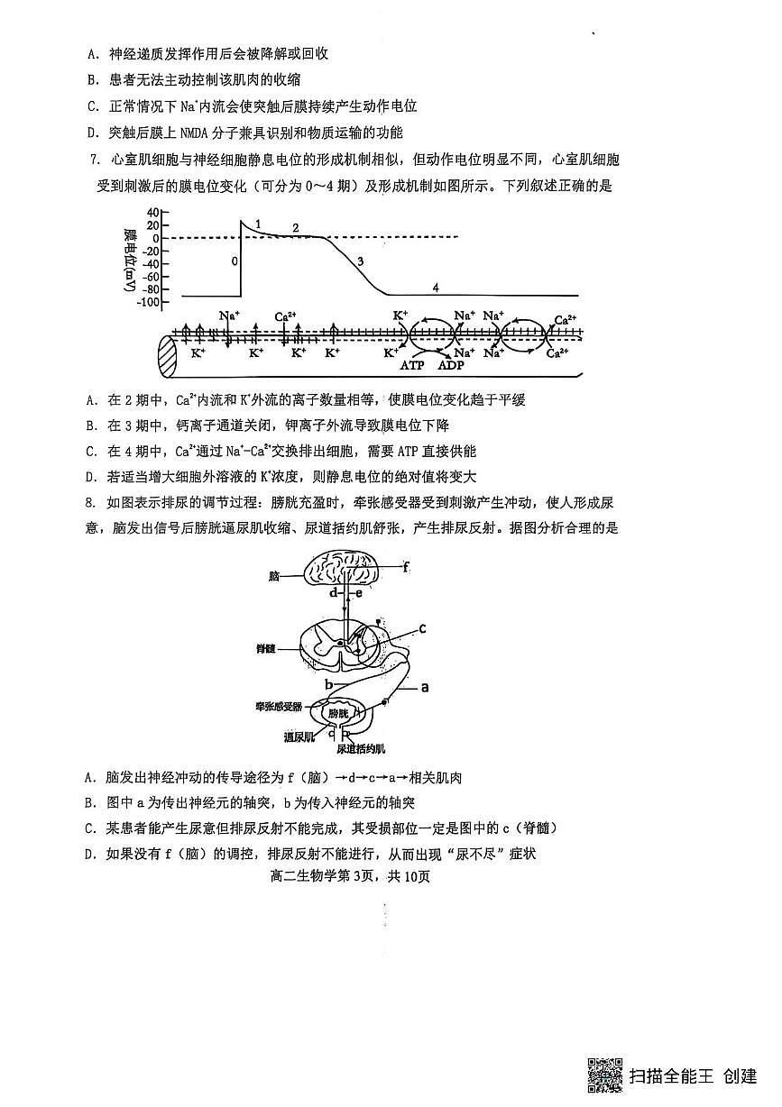 重庆市巴蜀中学教育集团2025-2026学年高二上学期10月月考生物试题第3页