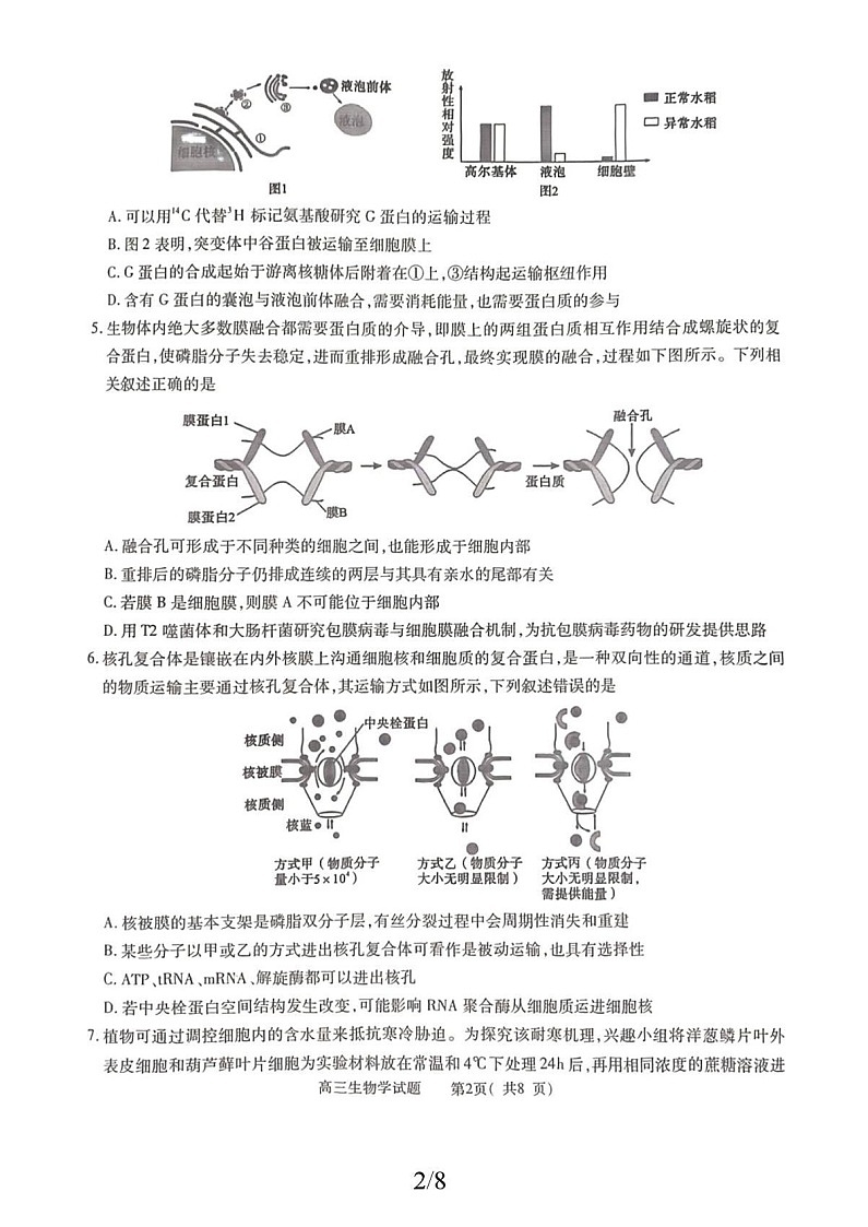 河南省信阳市2025-2026学年高三上学期10月考试生物试卷第3页