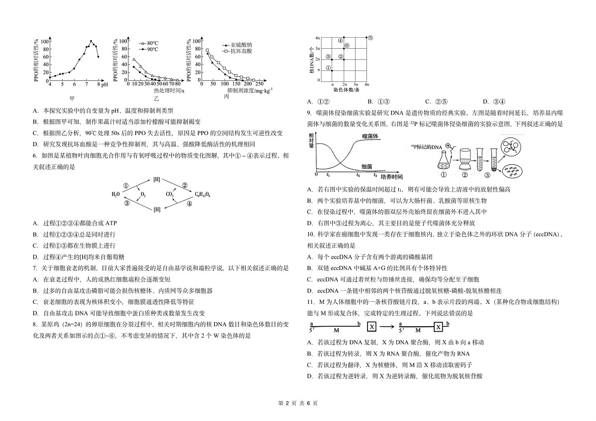 吉林省东北师范大学附属中学2025-2026学年高三上学期高考摸底考试生物试卷第2页