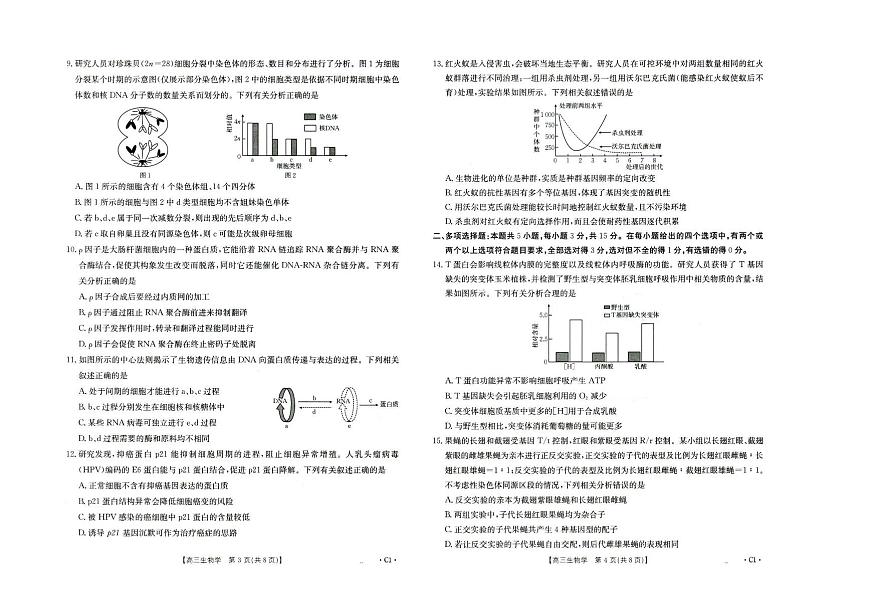 2025年河北金太阳高三上学期10月生物试题无答案第2页
