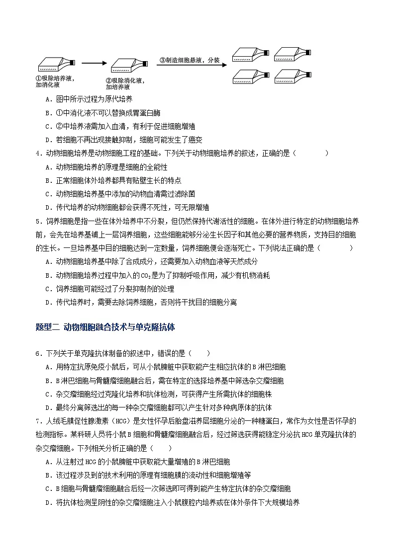 第40讲 动物细胞工程（专项训练）（原卷版）第2页