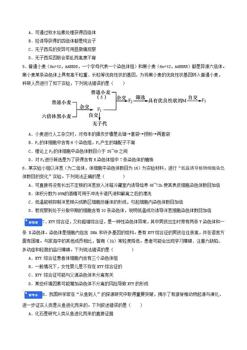 第七单元 生物的变异和进化（综合训练）（原卷版）（全国通用）第2页