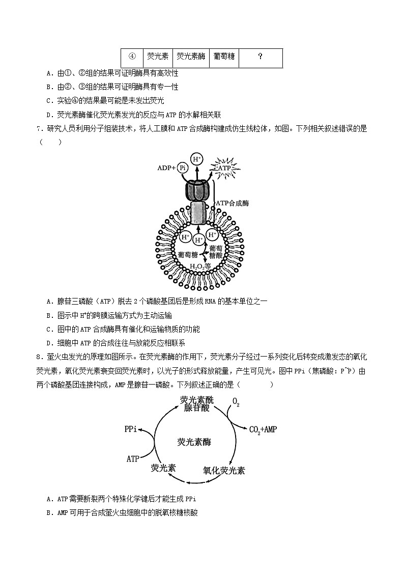 第三单元 细胞的能量供应和利用（综合训练）（原卷版）（全国通用）第3页