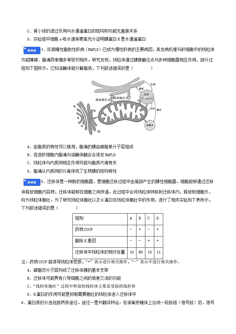 第二单元 细胞的结构、功能和物质运输（综合训练）（原卷版）（全国通用）第2页