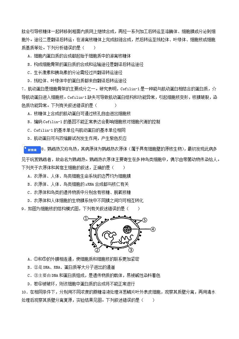 第二单元 细胞的结构、功能和物质运输（综合训练）（原卷版）（全国通用）第3页