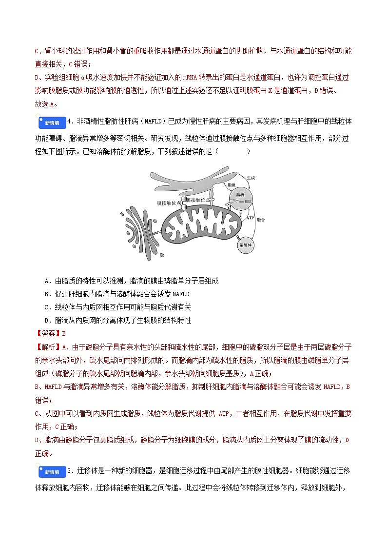 第二单元 细胞的结构、功能和物质运输（综合训练）（解析版）（全国通用）第3页