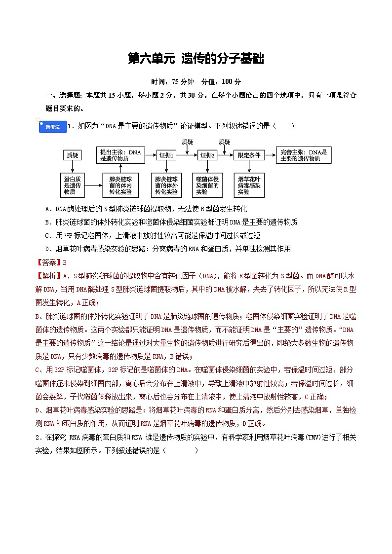 第六单元 遗传的分子基础（综合训练）（解析版）（全国通用）第1页