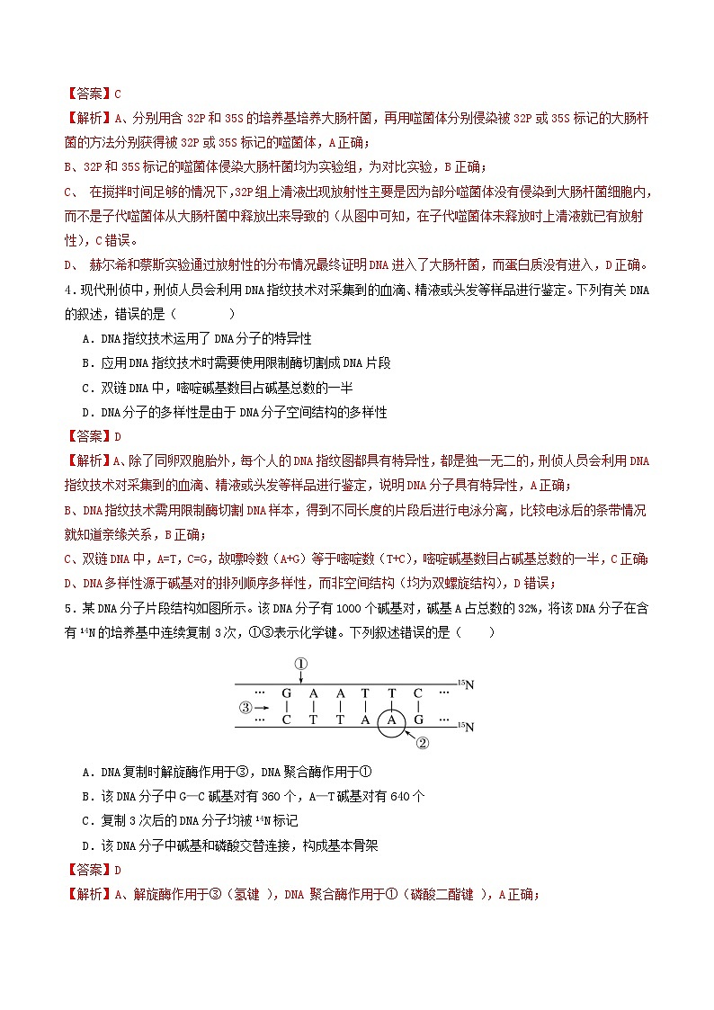 第六单元 遗传的分子基础（综合训练）（解析版）（全国通用）第3页