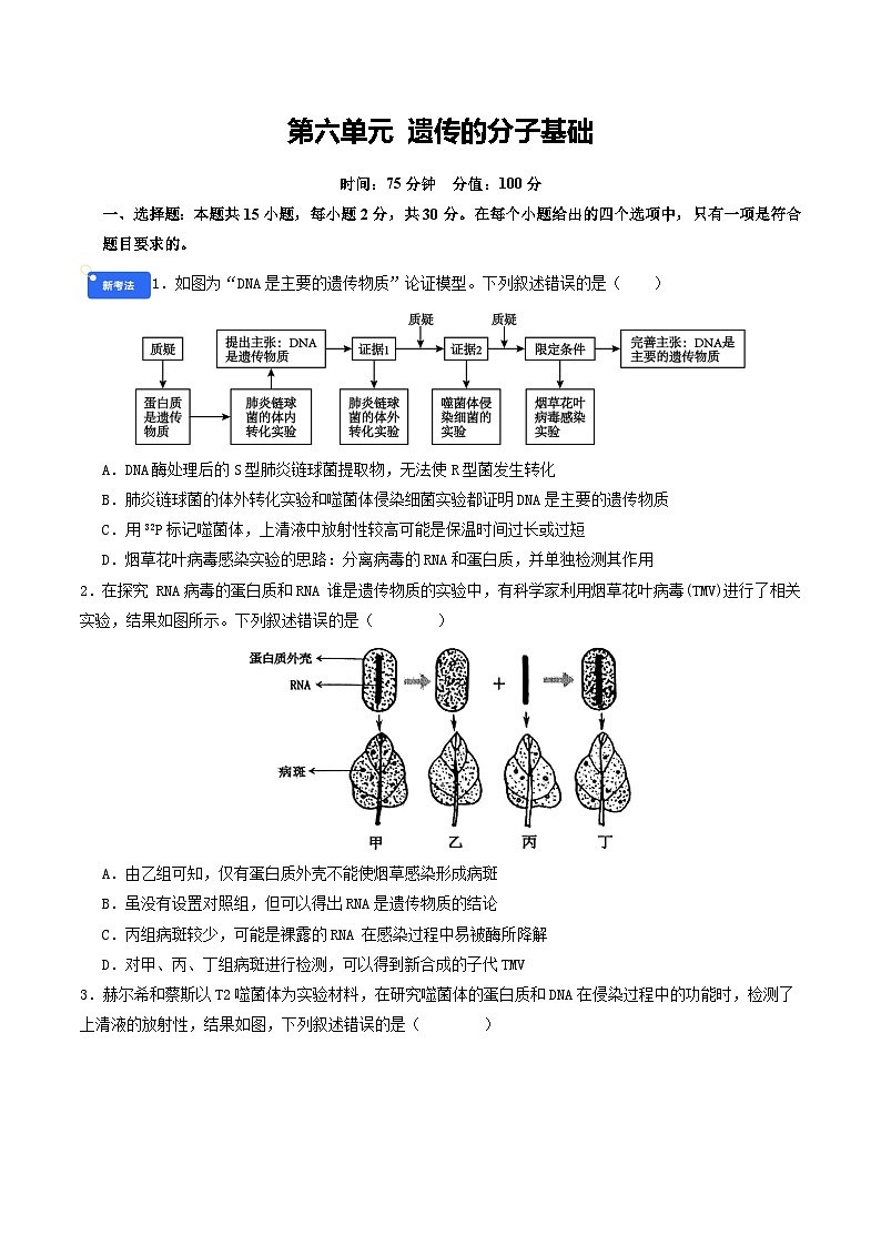 第六单元 遗传的分子基础（综合训练）（原卷版）（全国通用）第1页