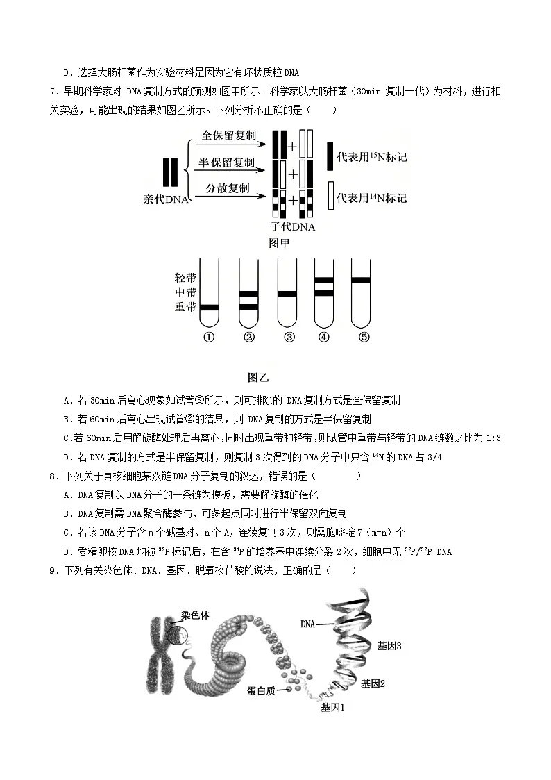 第六单元 遗传的分子基础（综合训练）（原卷版）（全国通用）第3页