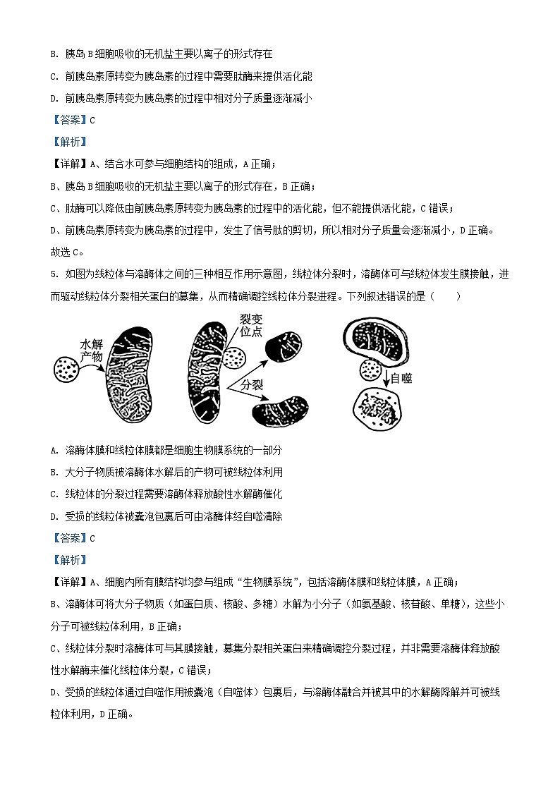 安徽省2026届高三生物上学期10月第一次综合素质检测试卷含解析第3页