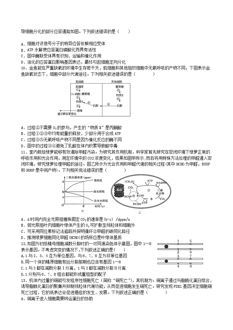 天津市静海区2026届高三生物上学期10月月考试题第3页