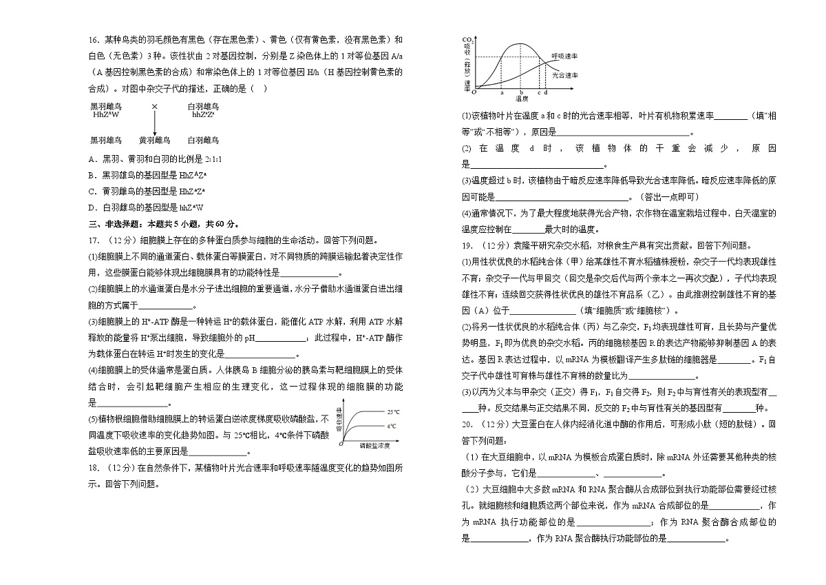 湖南省衡阳市衡阳县第四中学2024-2025学年高二上学期9月月考生物试题第3页