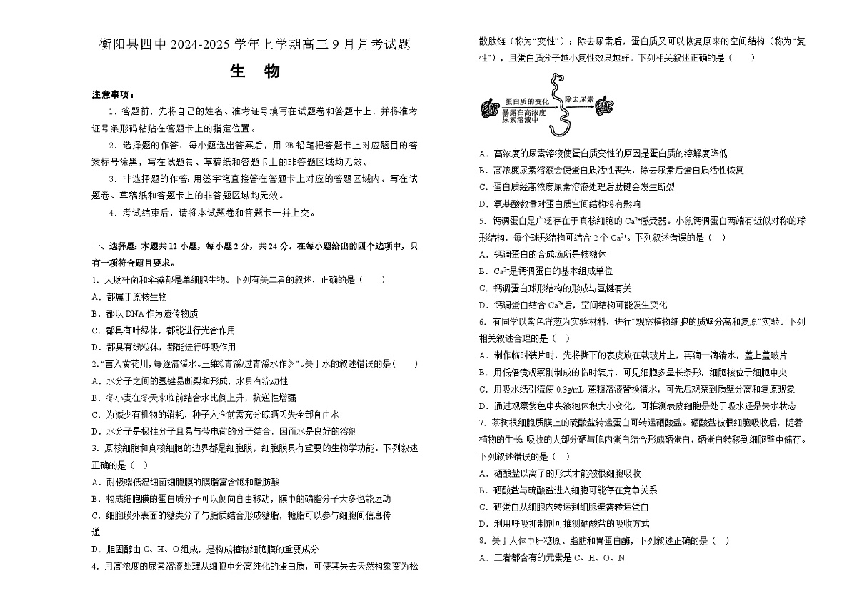 湖南省衡阳市衡阳县第四中学2024-2025学年高三上学期9月月考生物试题第1页