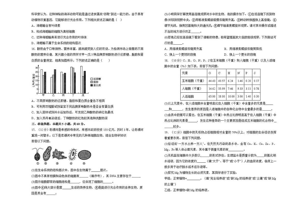 湖南省衡阳市衡阳县第四中学2024-2025学年高一上学期9月月考生物试题第3页