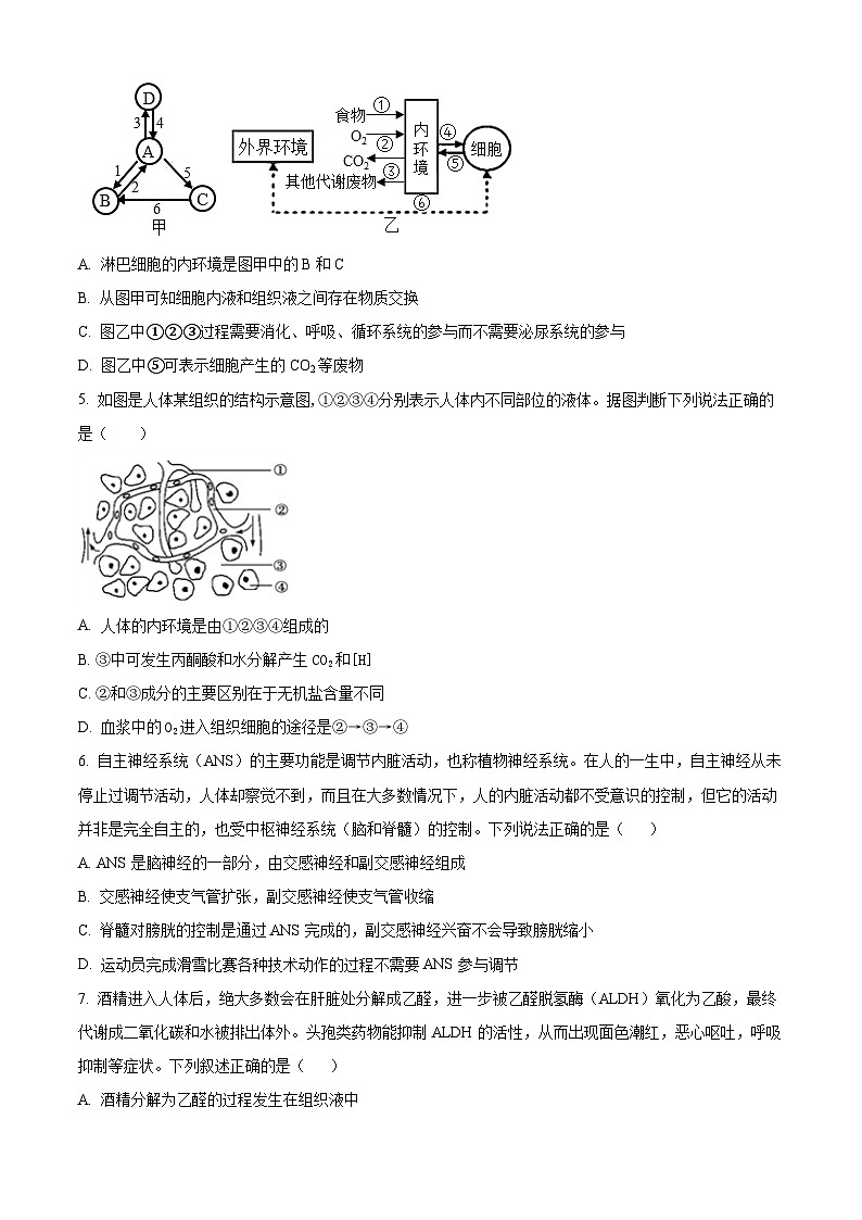 湖北省武汉市第二中学2025-2026学年高二上学期９月月考生物试卷（原卷版）第2页
