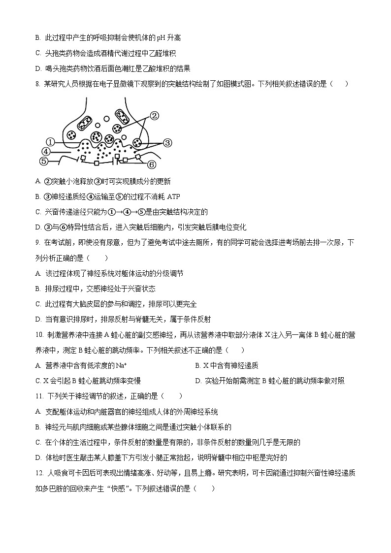 湖北省武汉市第二中学2025-2026学年高二上学期９月月考生物试卷（原卷版）第3页