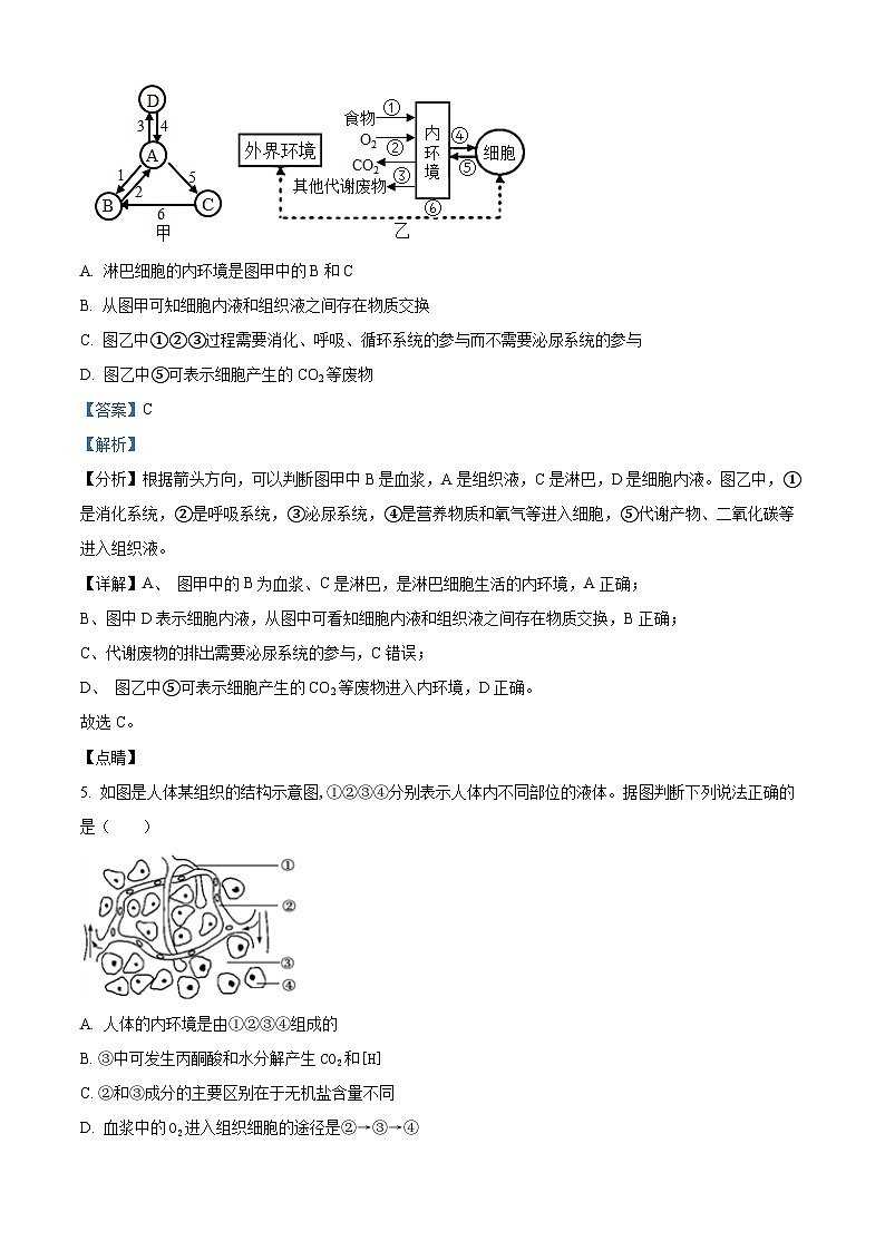 湖北省武汉市第二中学2025-2026学年高二上学期９月月考生物试卷（解析版）第3页