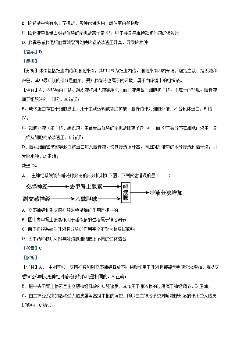 黑龙江省牡丹江市第一高级中学（致远班）2025-2026学年高二上学期9月月考生物试题（解析版）第2页