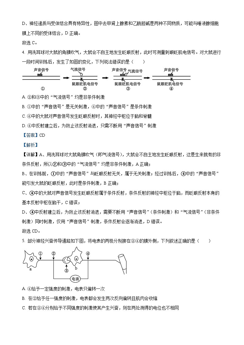 黑龙江省牡丹江市第一高级中学（致远班）2025-2026学年高二上学期9月月考生物试题（解析版）第3页