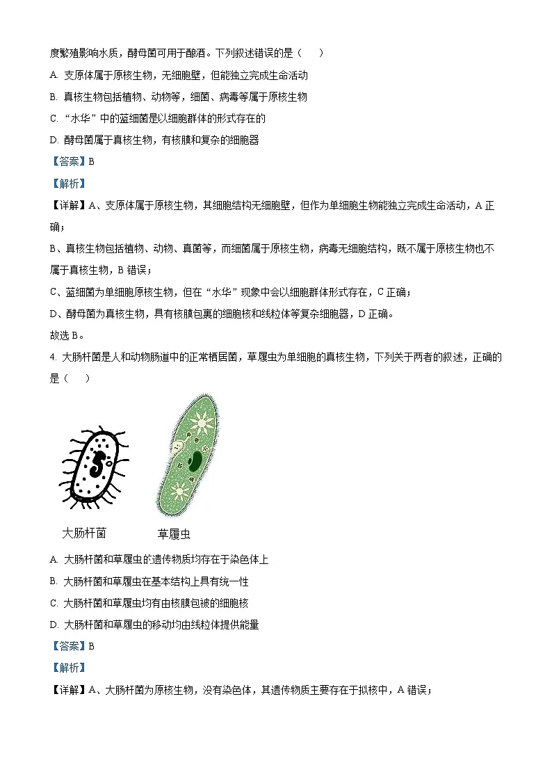 吉林省通化市梅河口市第五中学2025-2026学年高一上学期10月月考生物试题（解析版）第2页