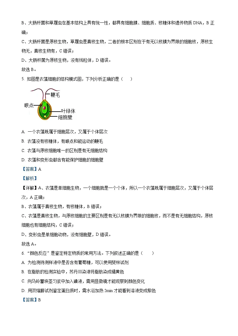 吉林省通化市梅河口市第五中学2025-2026学年高一上学期10月月考生物试题（解析版）第3页