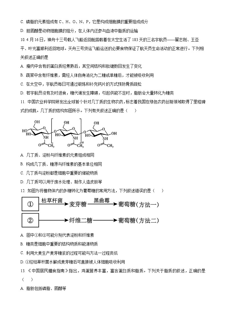 吉林省通化市梅河口市第五中学2025-2026学年高一上学期10月月考生物试题（原卷版）第3页