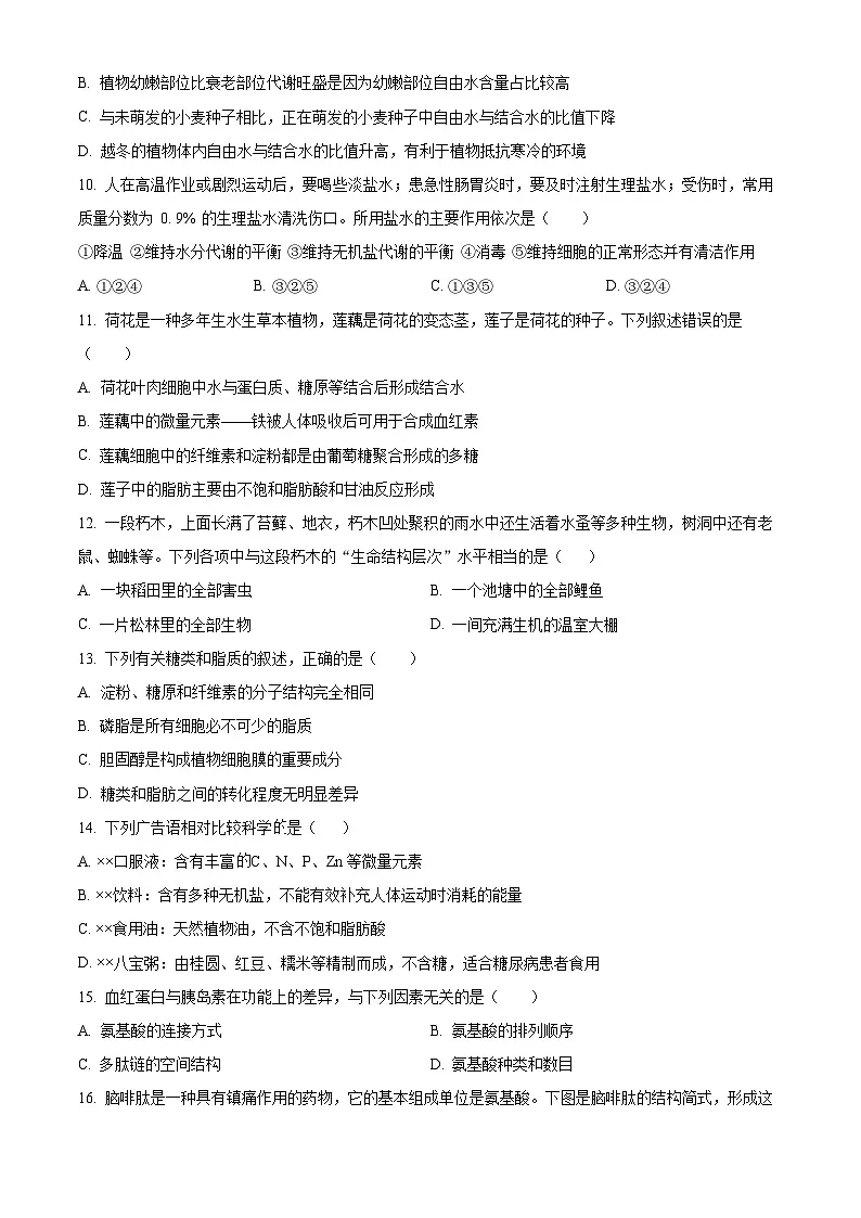 四川省眉山市仁寿县第一中学校南校区2025-2026学年高一上学期9月月考生物试题第3页