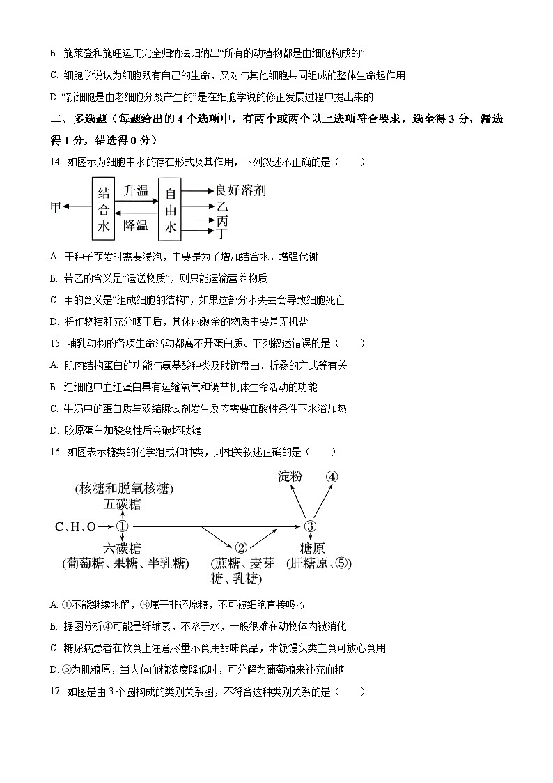 河北省保定市部分学校2025-2026学年高一上学期9月月考生物试题（原卷版）第3页
