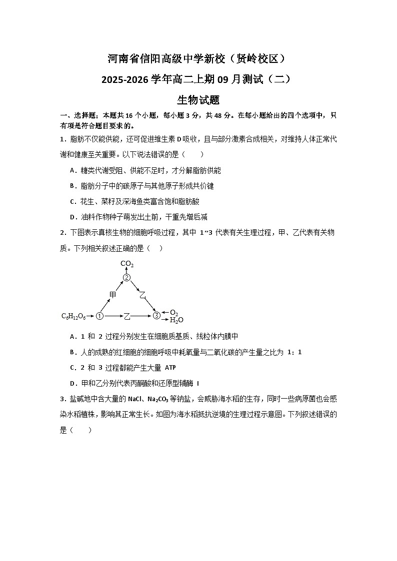 河南省信阳高级中学新校（贤岭校区）2025-2026学年高二上期09月测试（二）生物试题第1页