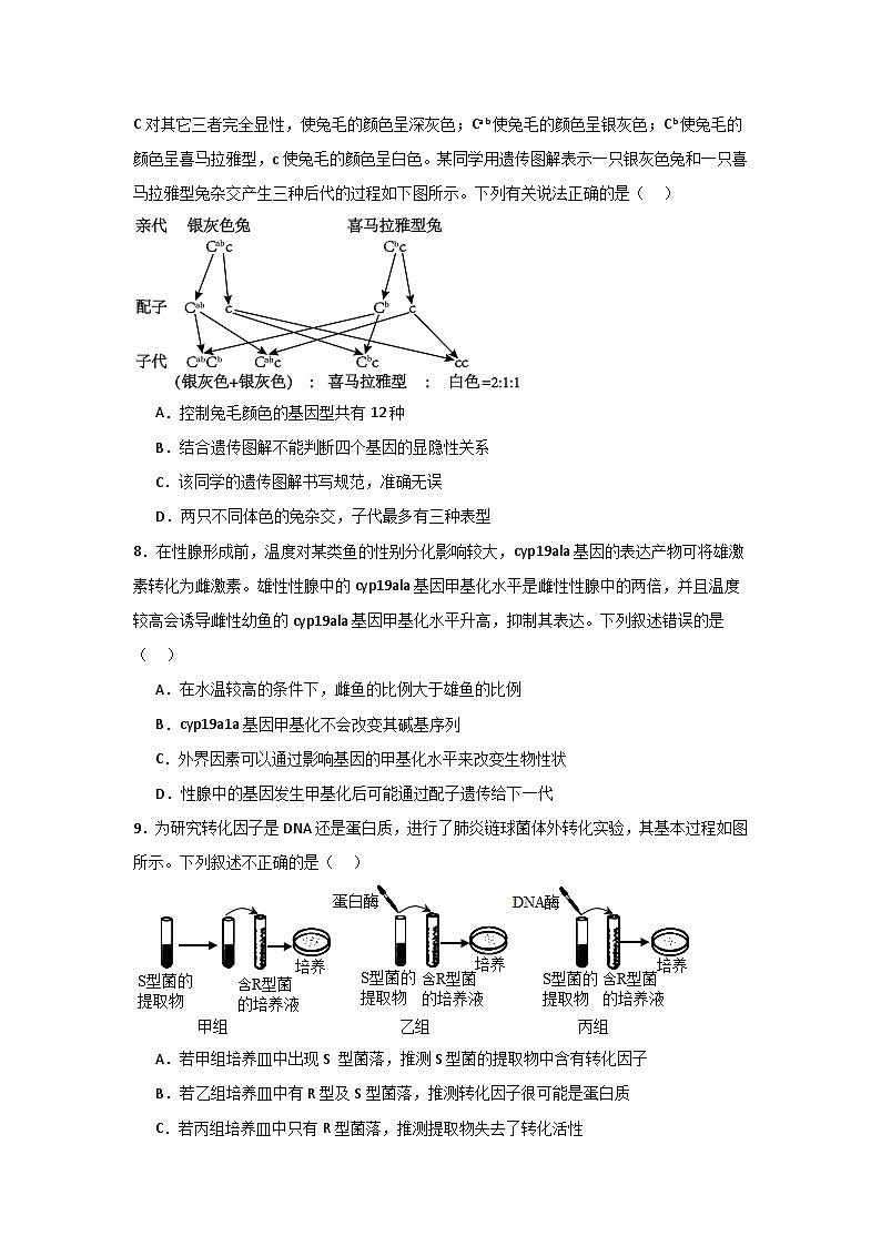 河南省信阳高级中学新校（贤岭校区）2025-2026学年高二上期09月测试（二）生物试题第3页