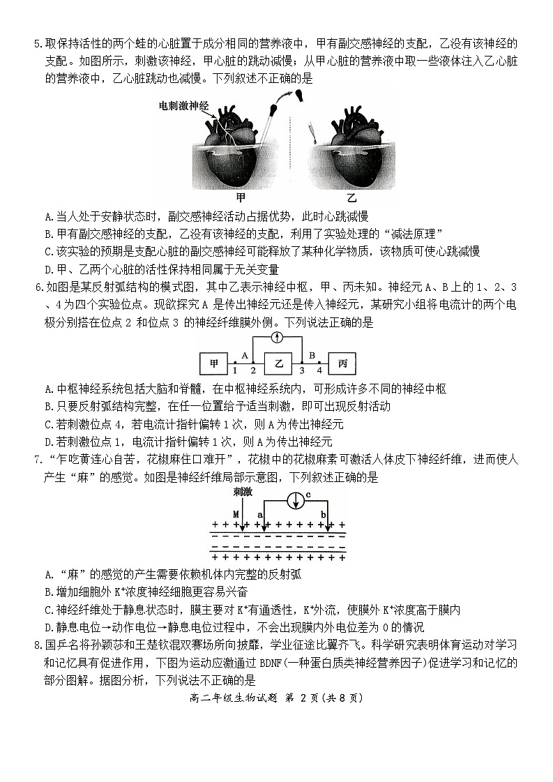 河南省南阳市六校2025-2026学年高二上学期第一次联考+生物第2页