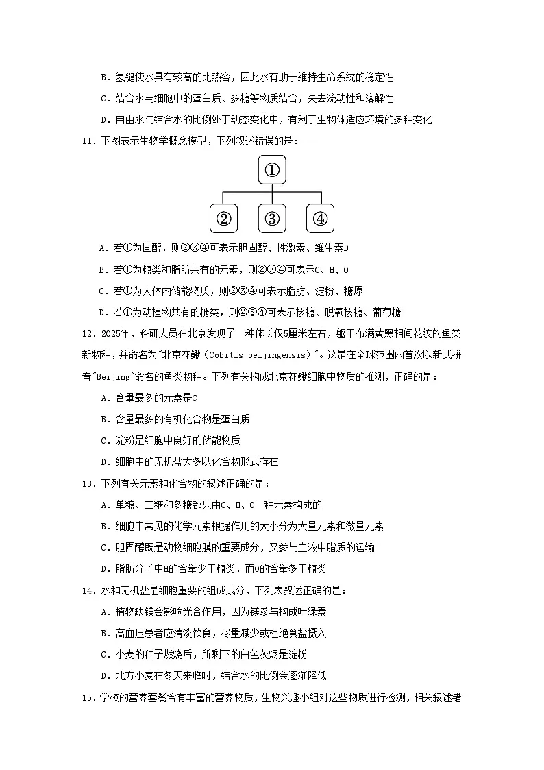 河南省实验中学2025-2026学年高一上学期第一次月考+生物第3页