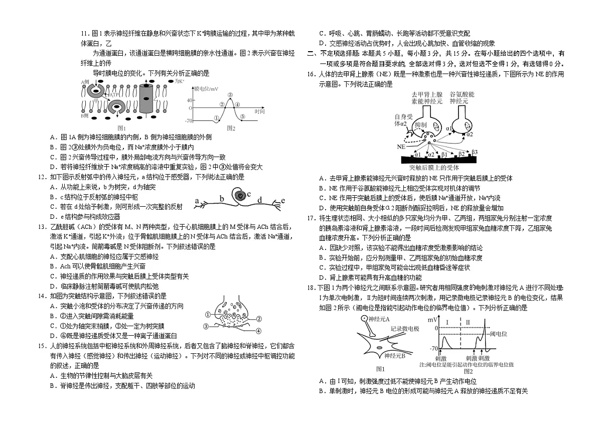 吉林省长春外国语学校2025-2026学年高二上学期第一次月考生物试卷（Word版附答案）第2页