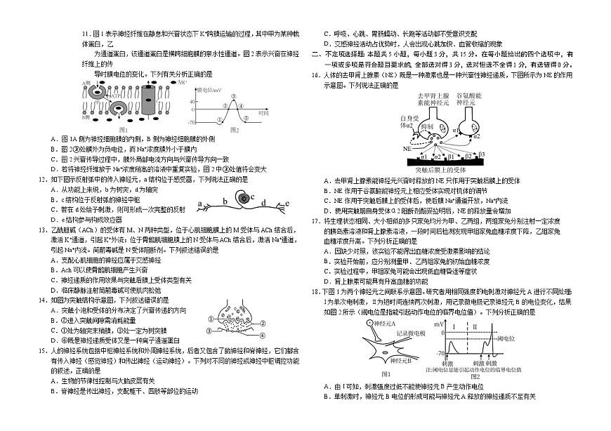 吉林省长春外国语学校2025-2026学年高二上学期第一次月考生物试卷（Word版附答案）第2页