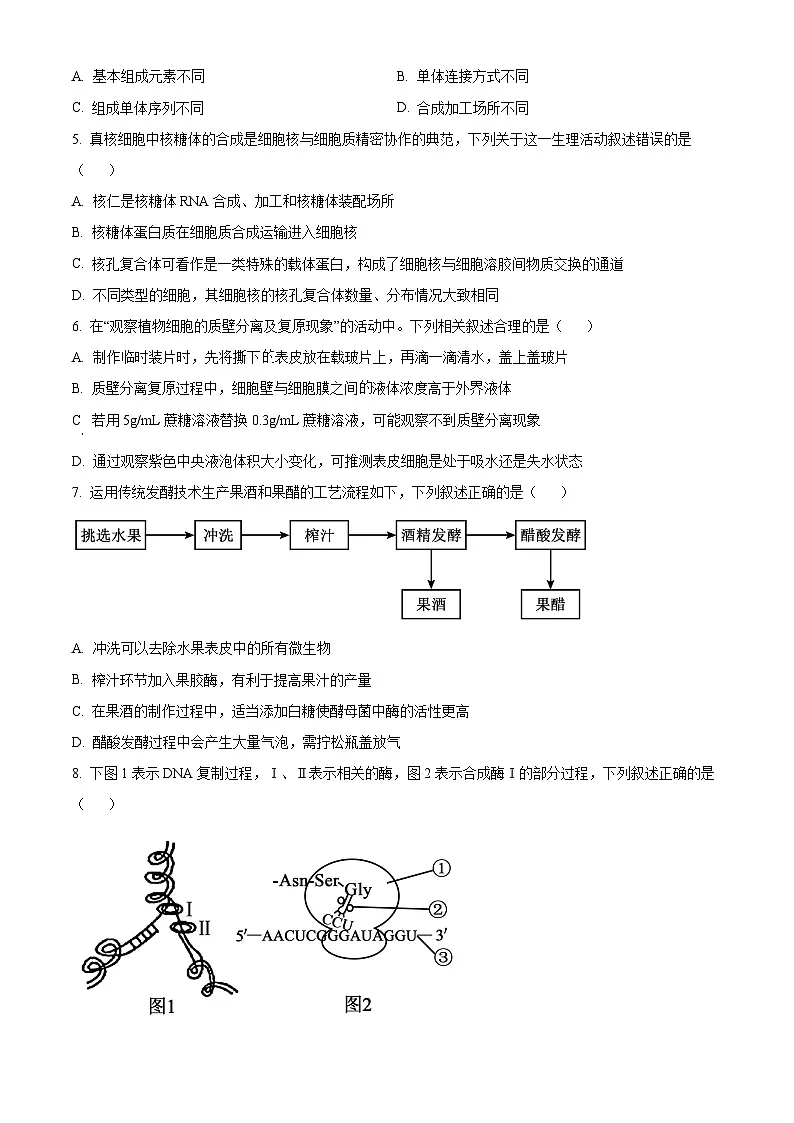 浙江省江浙皖高中（县中）发展共同体2026届高三一模考试生物试题（原卷版）第2页
