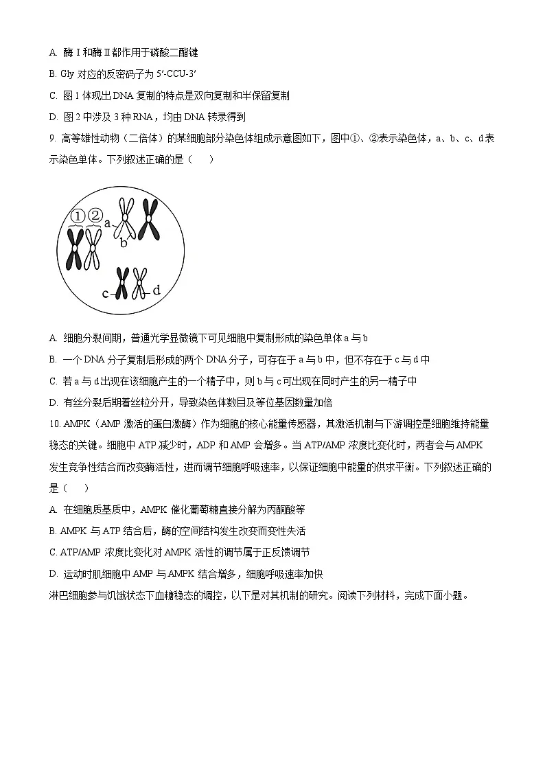 浙江省江浙皖高中（县中）发展共同体2026届高三一模考试生物试题（原卷版）第3页