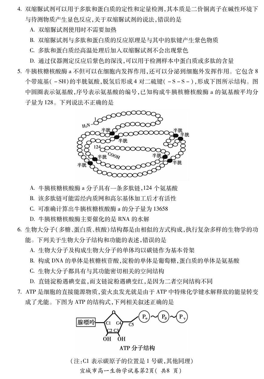 安徽省宣城市2024—2025学年高一上学期期末调研考试生物试题第2页