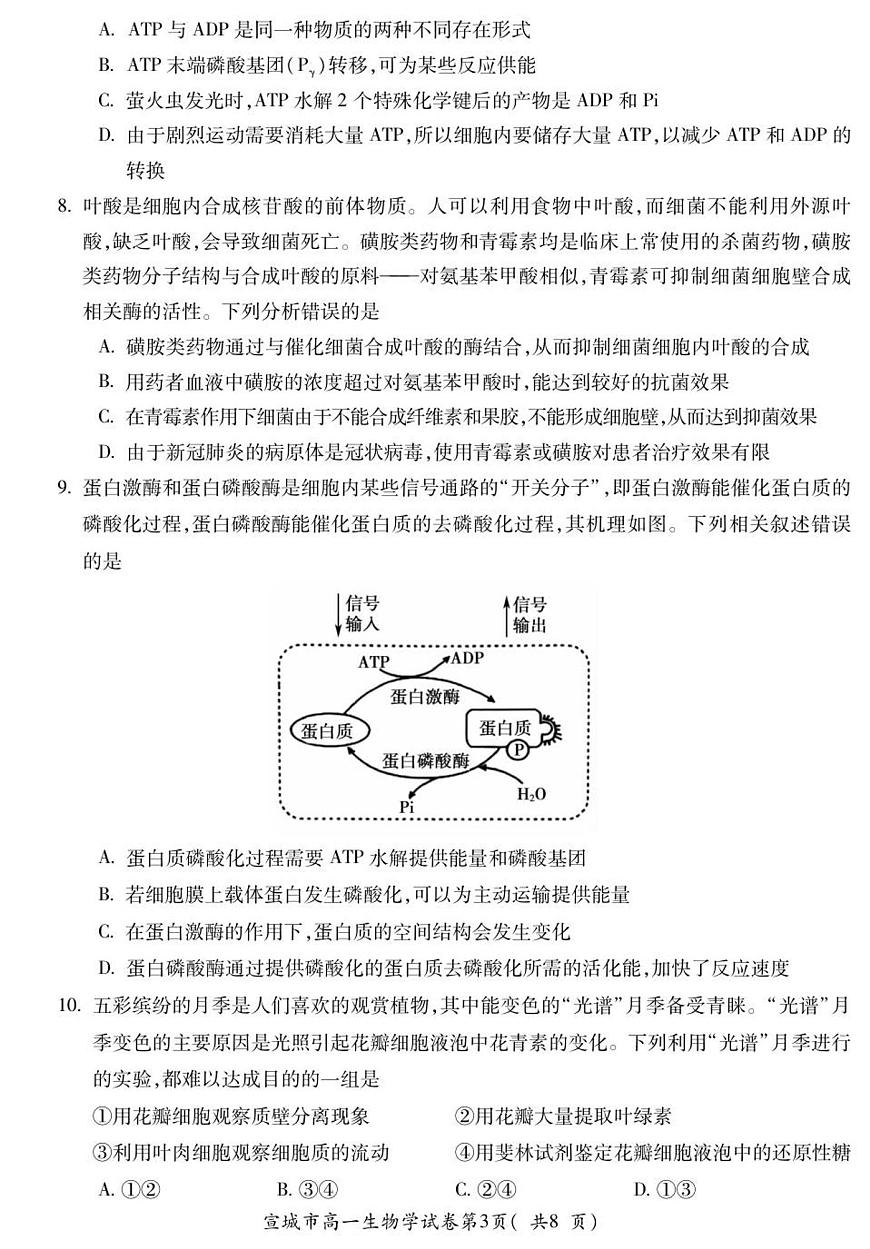 安徽省宣城市2024—2025学年高一上学期期末调研考试生物试题第3页