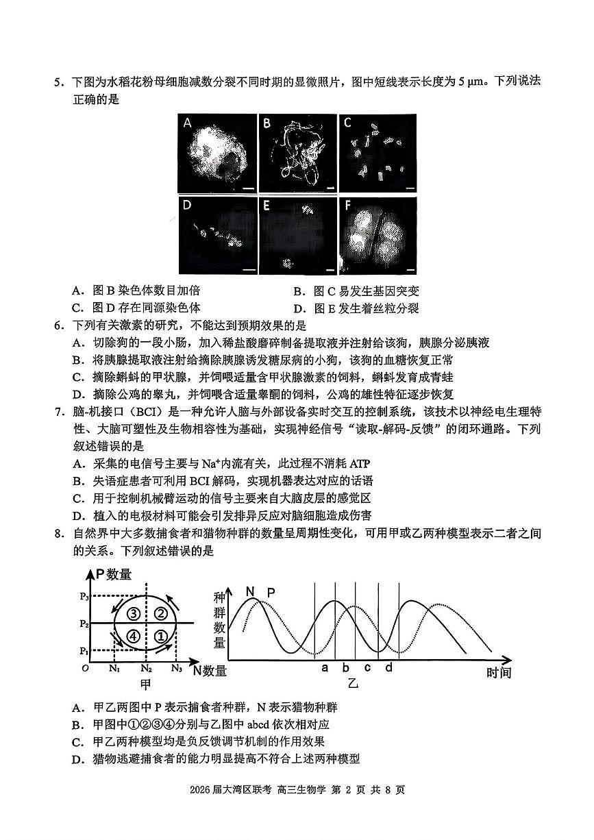 2026届广东省大湾区普通高中毕业年级联合模拟考试高三生物学试题（高考模拟）第2页