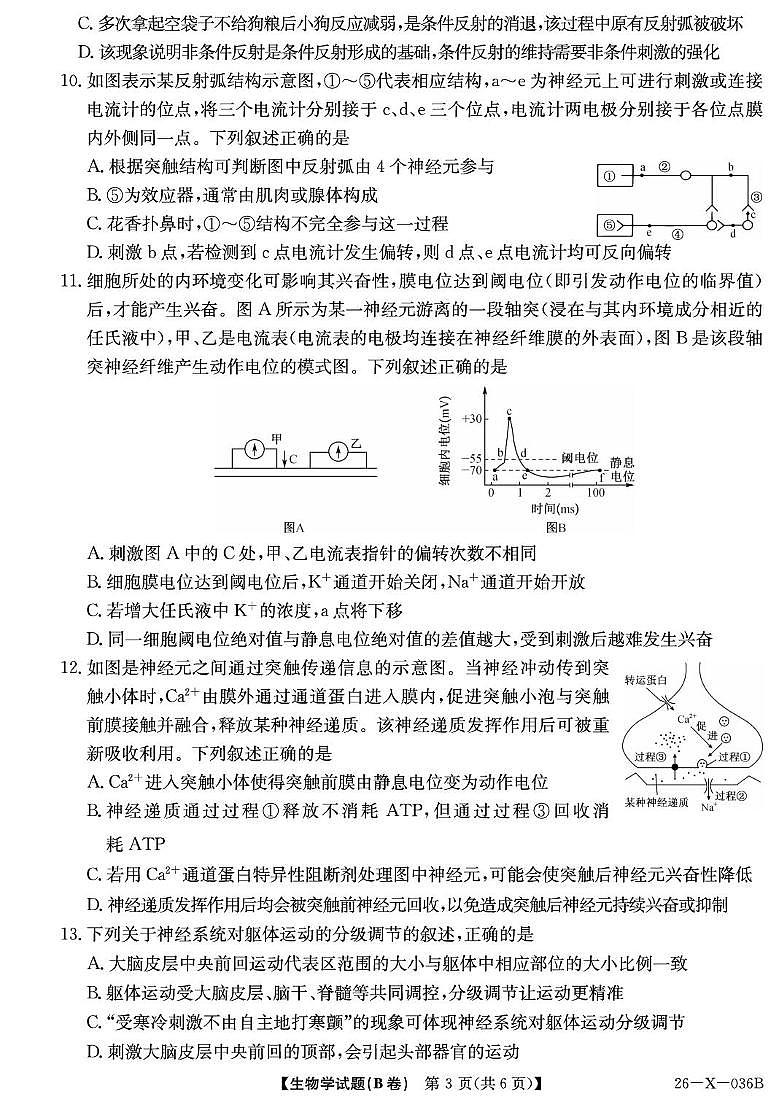 河南省TOP二十名校2025-2026学年高二上学期10月调研考试生物试卷（B卷）第3页