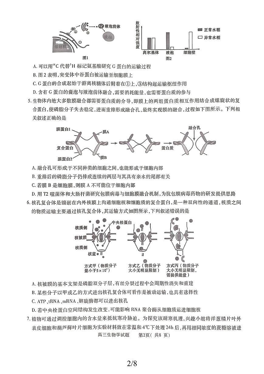 河南省信阳市2025—2026学年高三上学期第一教学质量检测生物试题 （月考）第2页